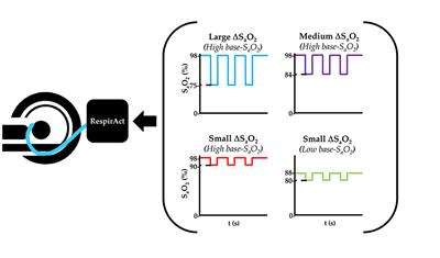 DSC MRI in the human brain using deoxyhemoglobin and gadolinium—Simulations and validations at 3T